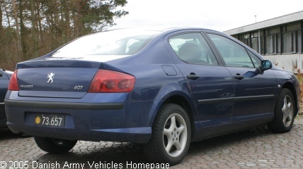 Peugeot 407 HDI, 4 x 2, 12V, D (Rear view, right side)